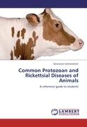 Common Protozoan and Rickettsial Diseases of Animals Subramanian Saravanan