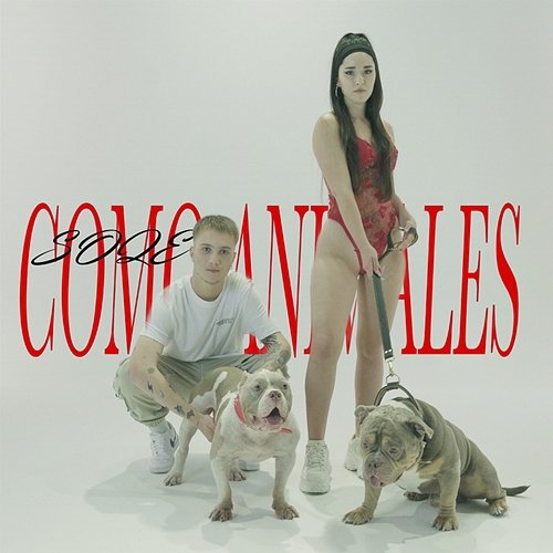 Como Animales Soqe, Victor Magan