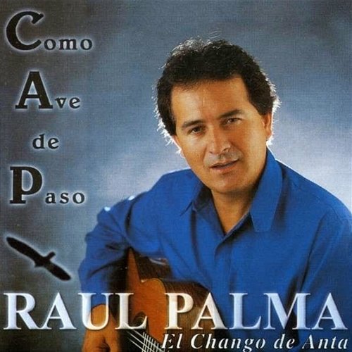 Como Ave De Paso Raul Palma
