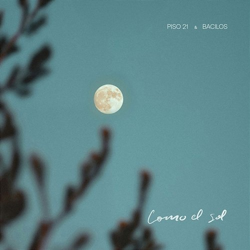 Como el Sol Bacilos, Piso 21