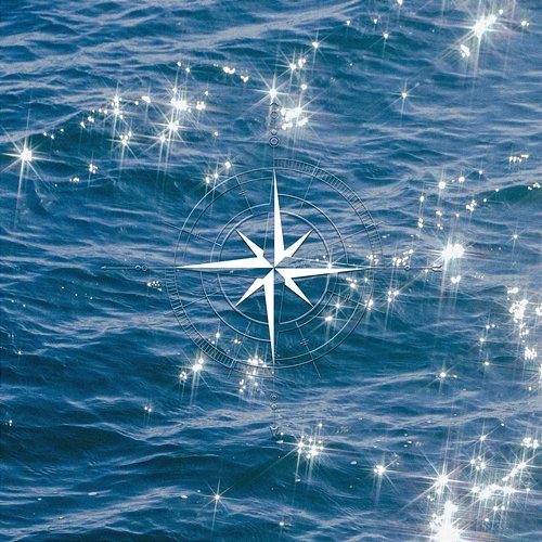 Compass Kim Addict