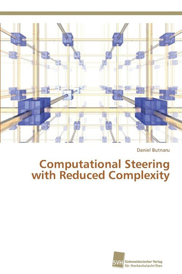 Computational Steering with Reduced Complexity Butnaru Daniel