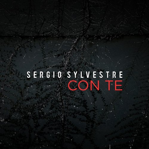 Con te Sergio Sylvestre
