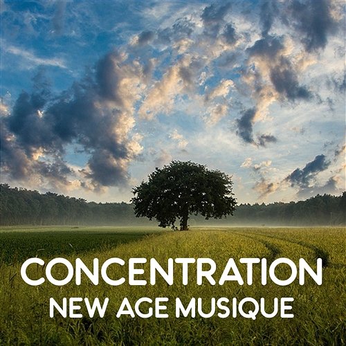 Concentration: New age musique - Calme sons de la nature pour l'apprentissage, Lire des livres, Être plus efficace et productif, Étudier et travailler à zen Improve Concentration Music Oasis