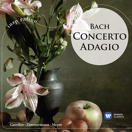 Concerto Adagio: Bach Andrei Gavrilov
