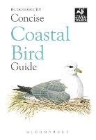 Concise Coastal Bird Guide Bloomsbury Publishing