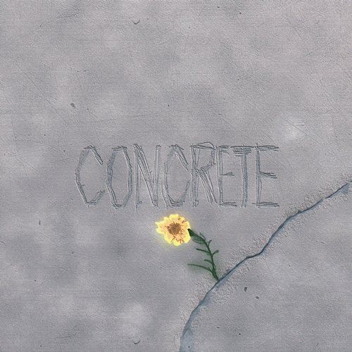 CONCRETE seshin