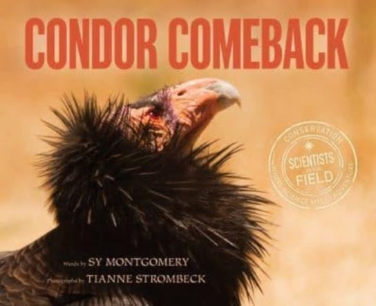 Condor Comeback Montgomery Sy