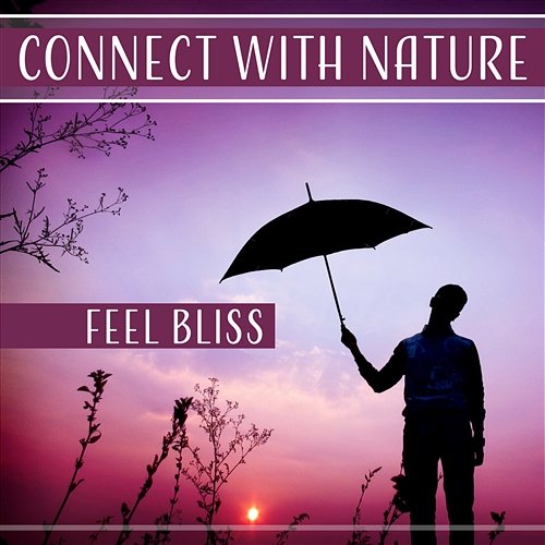 Connect with Nature: Feel Bliss – Gentle Soothing Sounds for Deep Sleep, Rest, Walk, Spirit Meditation, Anti Stress Gentle Crystal Sounds Divine