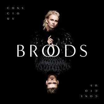 Conscious Broods