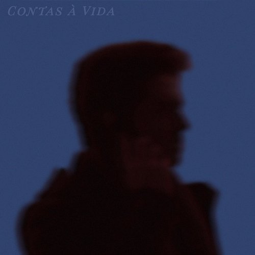 Contas à Vida Miguel Marôco