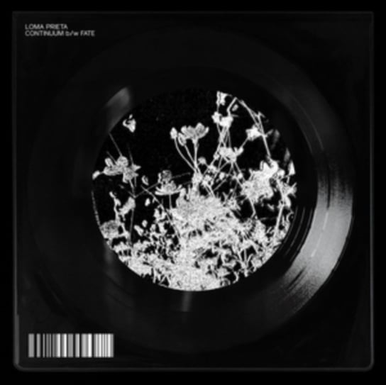 Continuum/Fate, płyta winylowa Loma Prieta