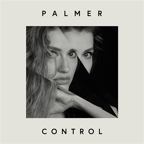 Control Palmer