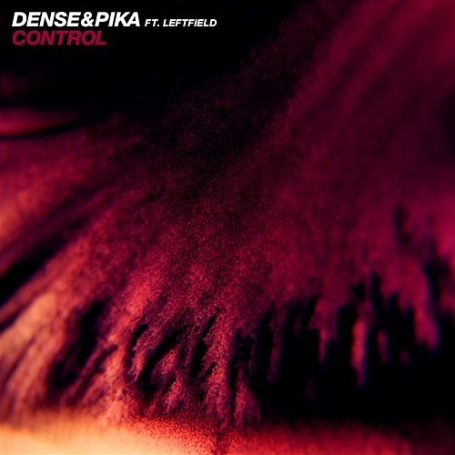 Control Dense & Pika feat. Leftfield