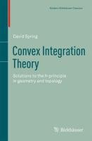 Convex Integration Theory Spring David
