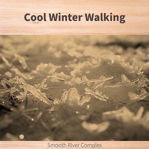 Cool Winter Walking Smooth River Complex