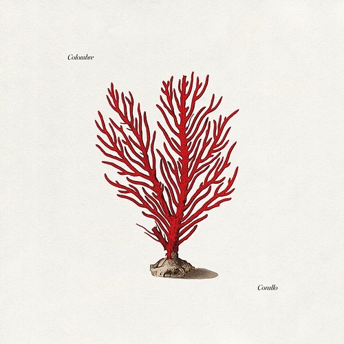 Corallo Colombre