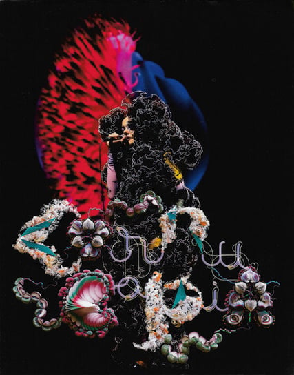 Cornucopia : Live Bjork