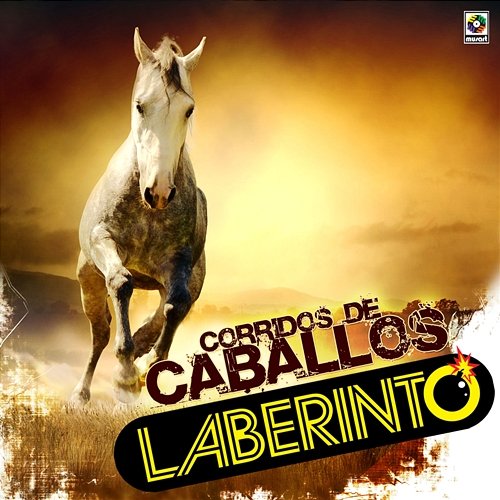 Corridos De Caballos Grupo Laberinto