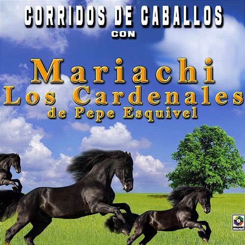 Corridos De Caballos Con Mariachi Los Cardenales De Pepe Esquivel Mariachi Los Cardenales De Pepe Esquivel