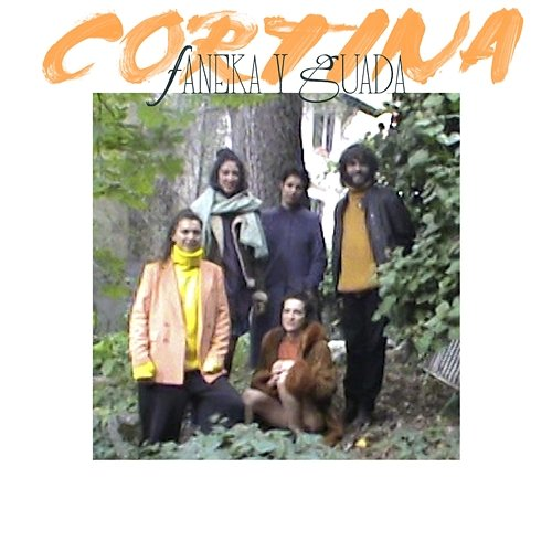 Cortina GUADA, Faneka