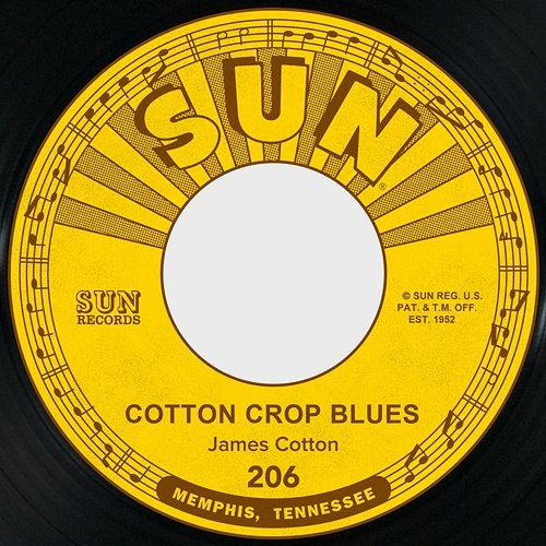 Cotton Crop Blues / Hold Me in Your Arms James Cotton
