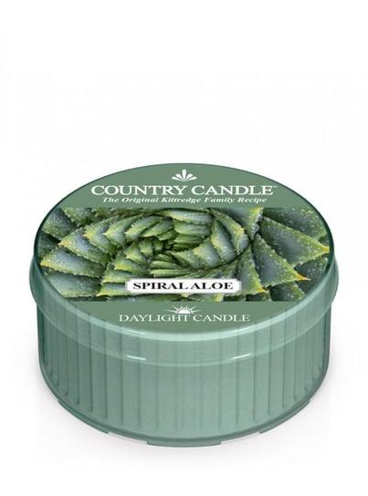 Country Candle - Spiral Aloe - Daylight (42G) Kringle Candle