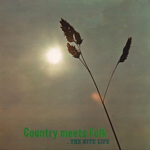 Country Meets Folk The Nite Life