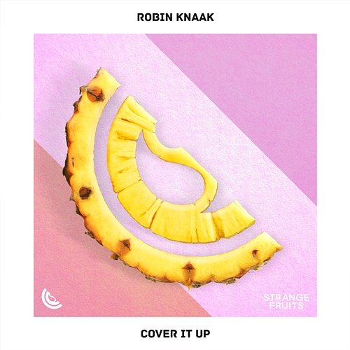Cover It Up Robin Knaak
