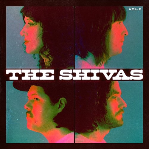 Covers Vol. 2 The Shivas