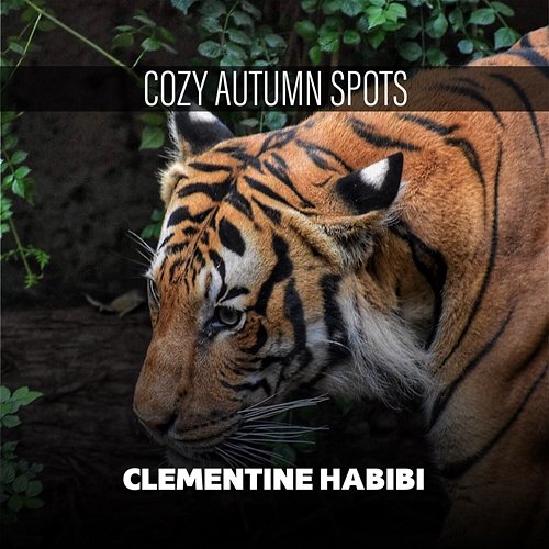 Cozy Autumn Spots Clementine Habibi