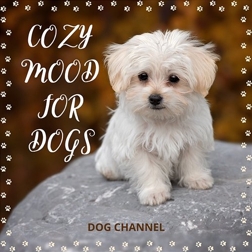 Cozy Mood for Dogs Dog Channel