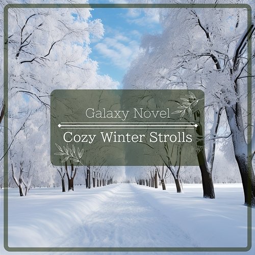 Cozy Winter Strolls Galaxy Novel