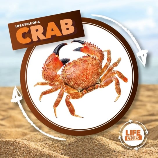 Crab Kirsty Holmes
