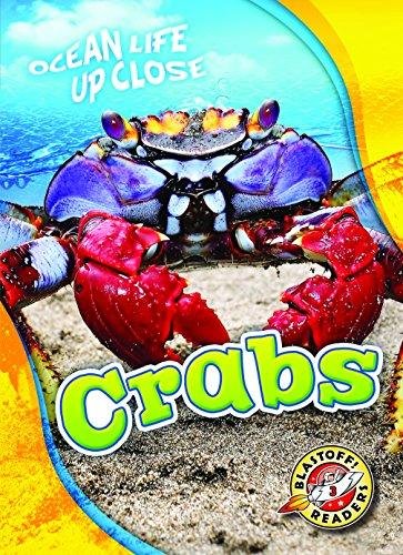 Crabs Rebecca Pettiford