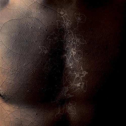 CRACKS Michael Ekow