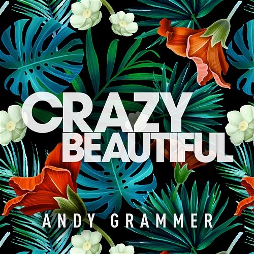 Crazy Beautiful EP Andy Grammer
