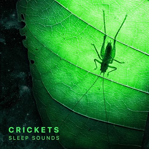 Crickets Sleep Sounds (Mindfulness & Relaxation) Sleepy Times, Nature Ambience, Night Sounds
