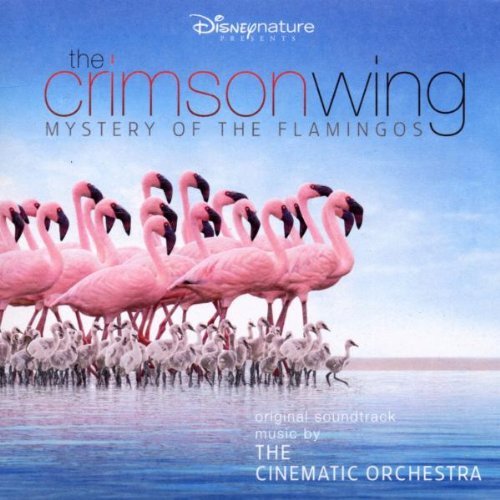 Crimson Wing Mystery The Cinematic Orchestra