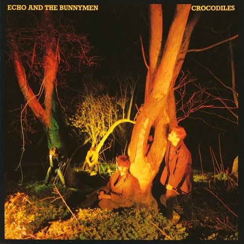 Crocodiles Echo And The Bunnymen