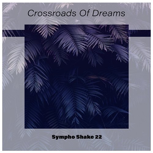 Crossroads Of Dreams Sympho Shake 22 Various Artists