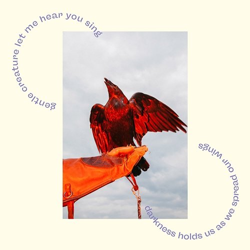 Crow Tara Nome Doyle