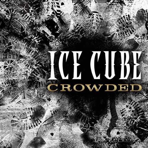 Crowded Ice Cube