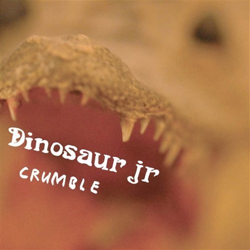 Crumble Dinosaur Jr.