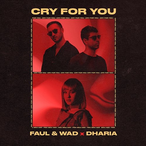 Cry For You Faul & Wad, Dharia