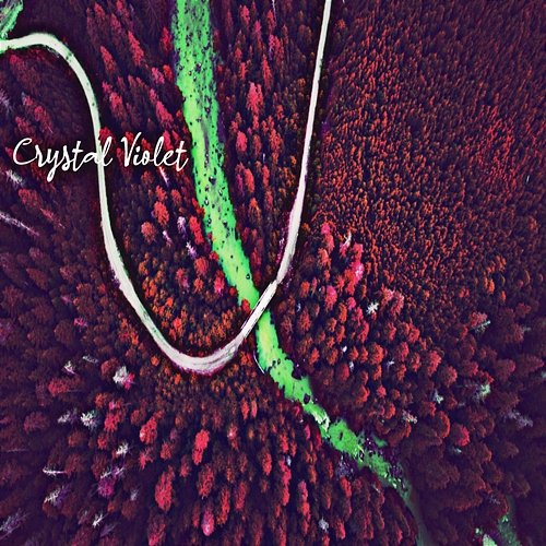 Crystal Violet Jesse Alvarado