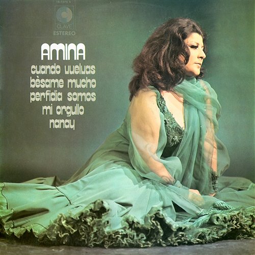 Cuando vuelvas Amina