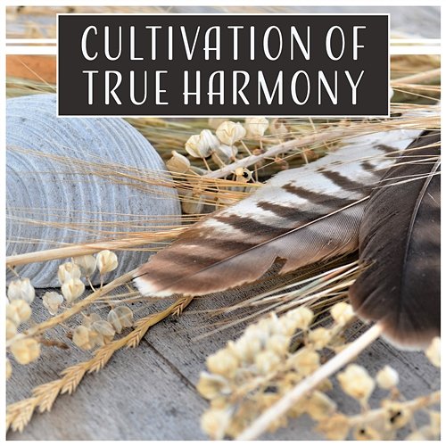 Cultivation of True Harmony – Total Relax Ambient, Meditation Mantra Yoga Music to Help with Anxiety & Panic Various Artists