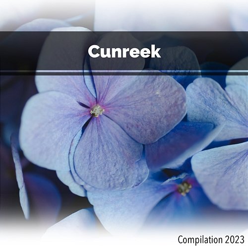 Cunreek Compilation 2023 John Toso, Mauro Rawn, Benny Montaquila Dj