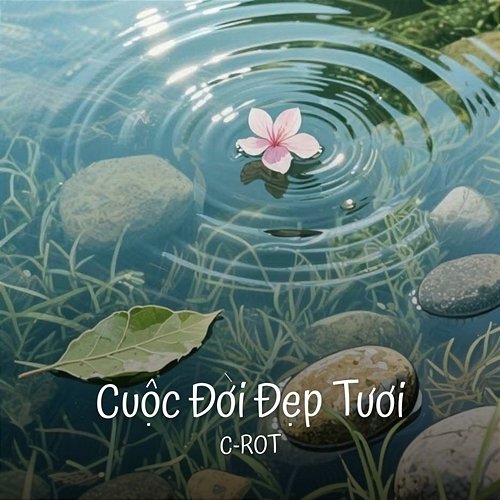 Cuộc Đời Đẹp Tươi C-ROT, MCV Music